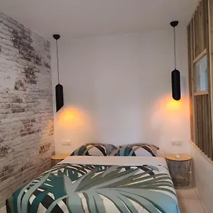 Grand Studio Plein De Charme Appartement